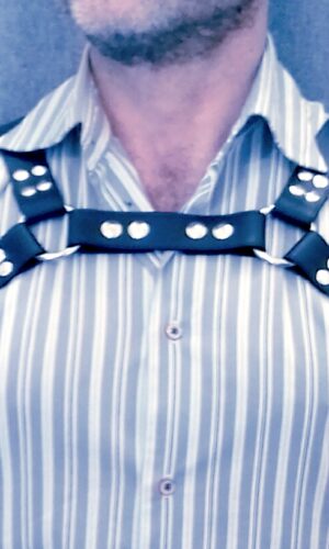 Harness